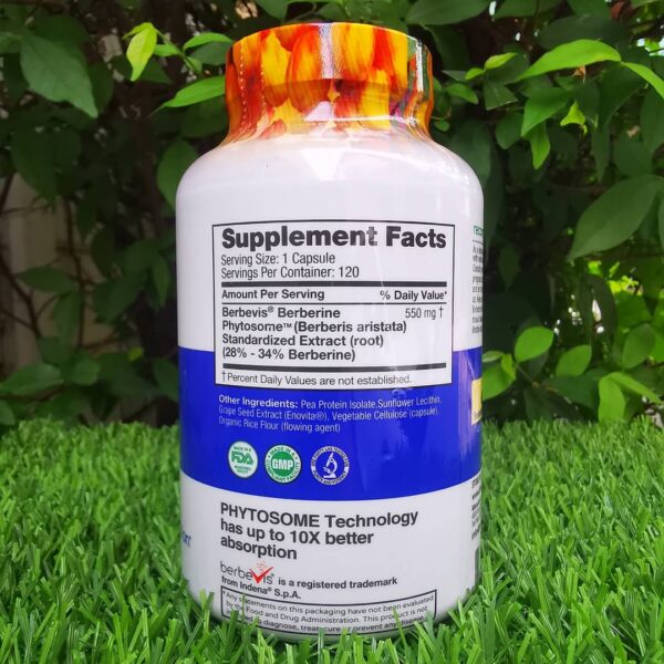 Feel Good Superfoods Berberine Phytosome, 120 Vegan Capsules - Image 4